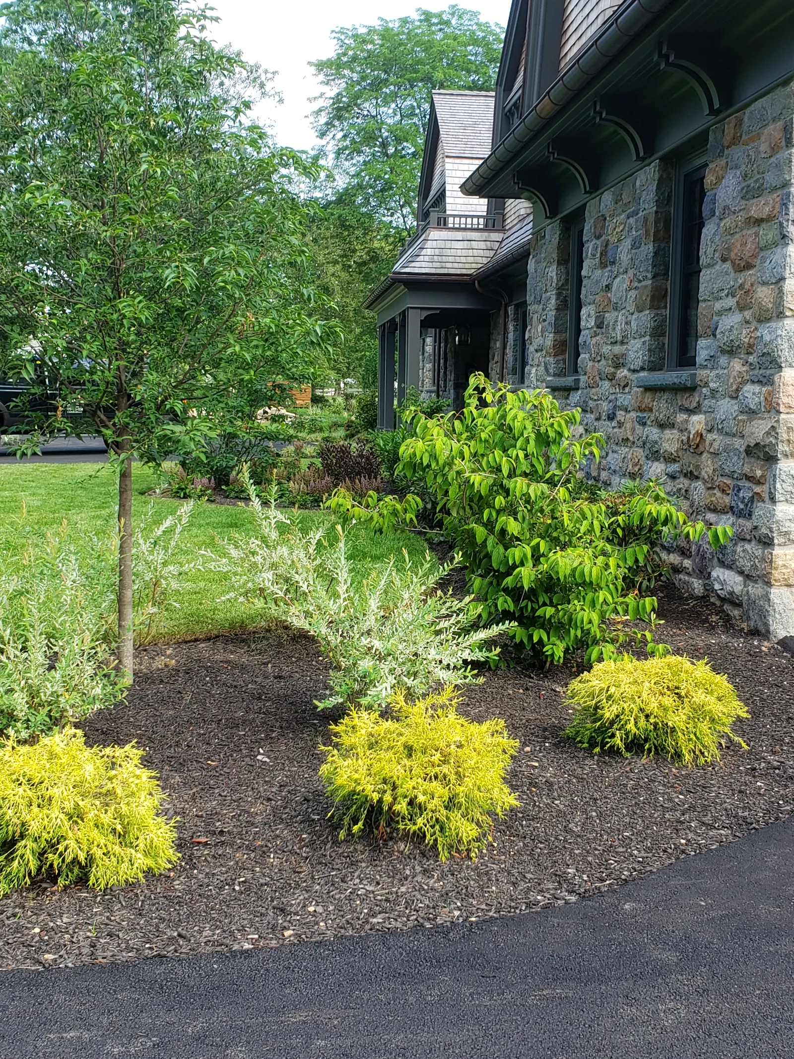 Estate Foundation Planting