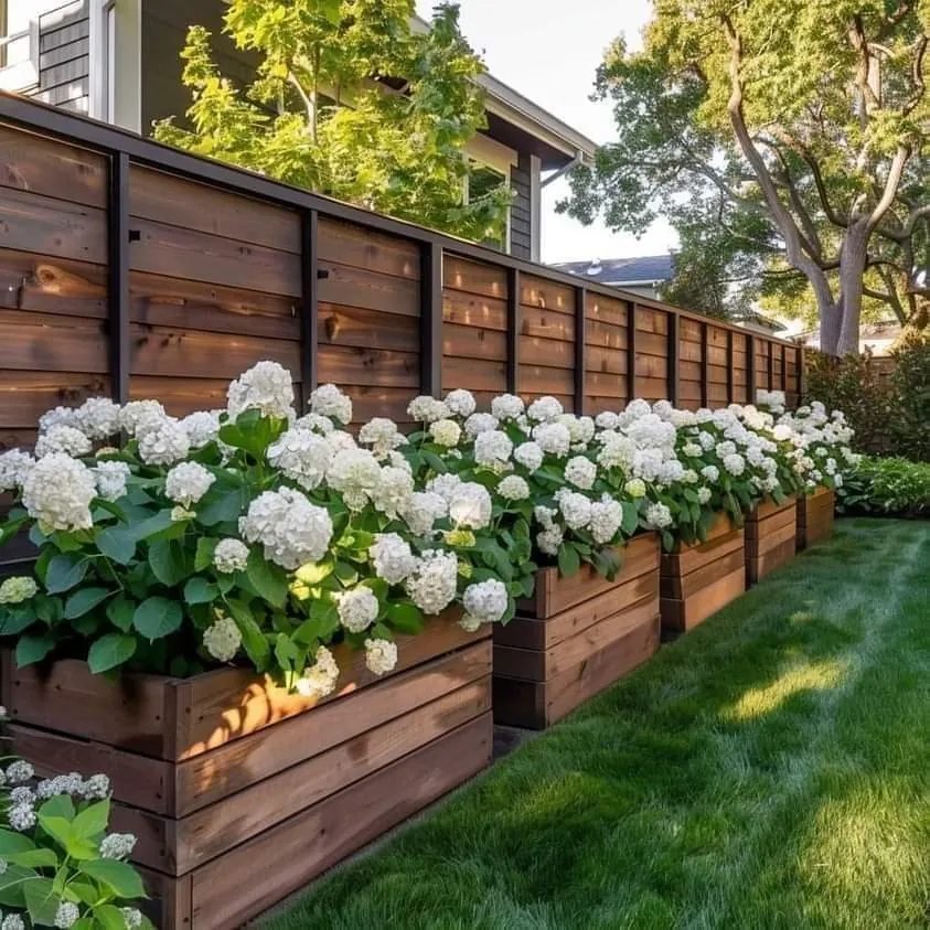 Cedar Planter Box Hydrangeas