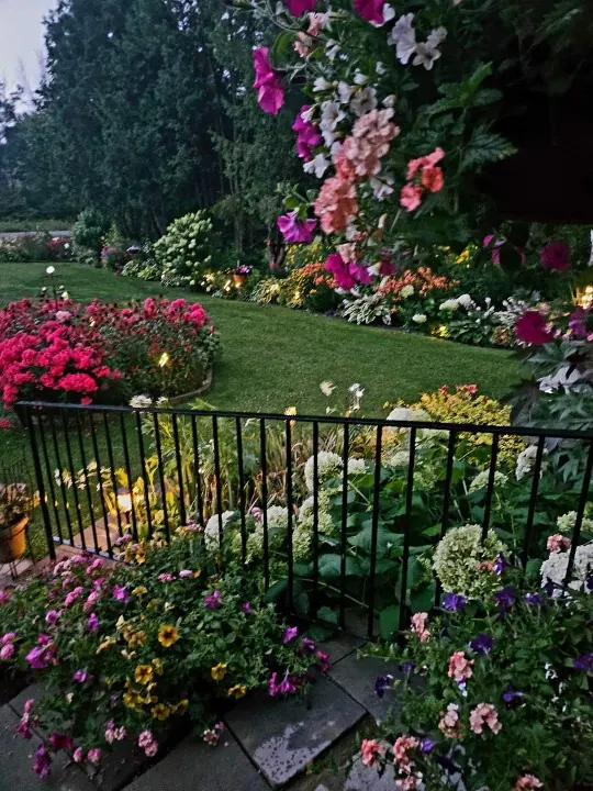 Twilight Garden Paradise