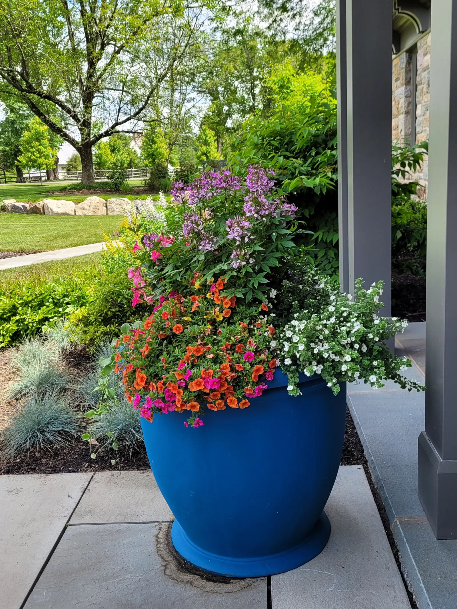 Overflowing Container Garden