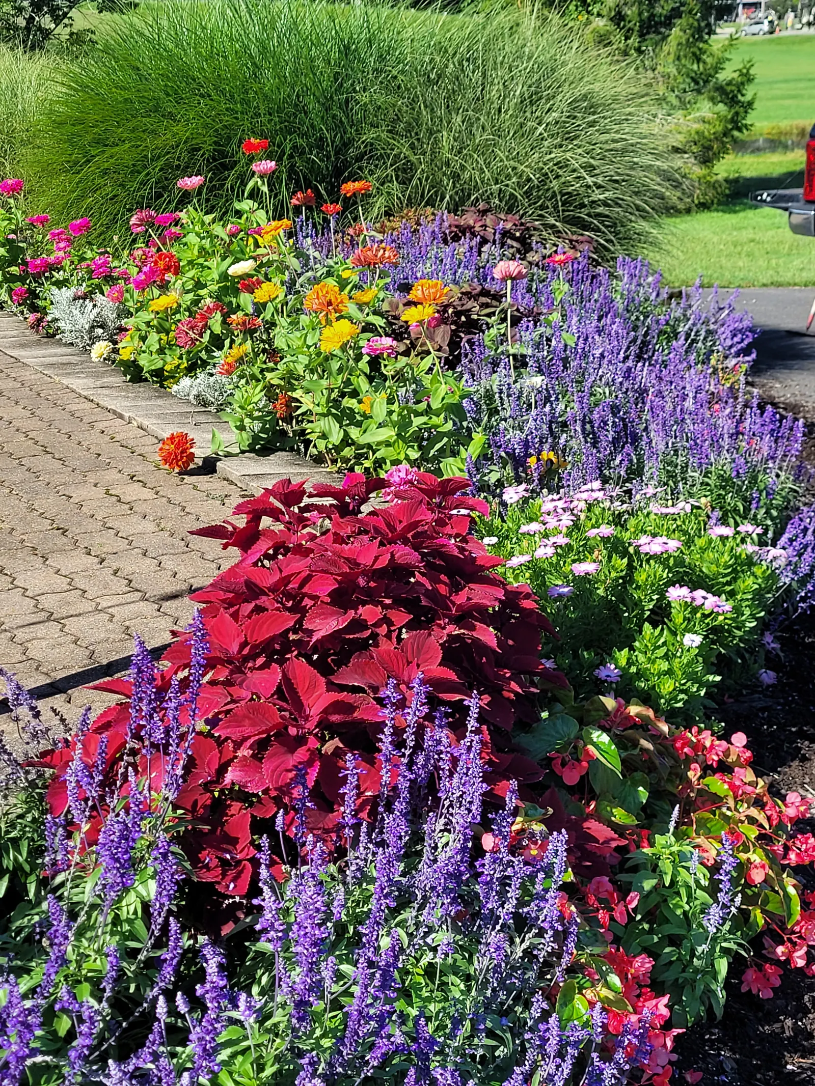 Vibrant Annual Border II